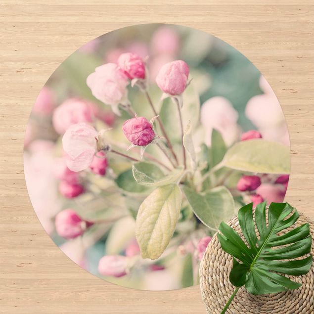 Wanddeko Botanik Apfelblüte Bokeh rosa