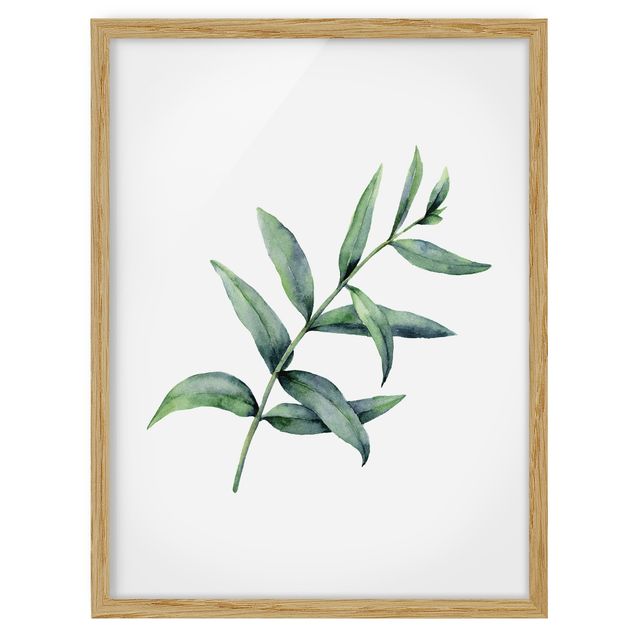 Wanddeko Esszimmer Aquarell Eucalyptus I