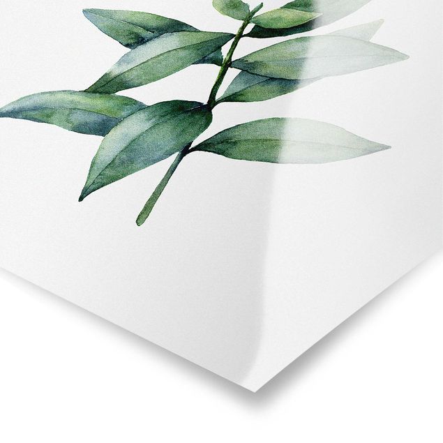Wanddeko Pflanzen Aquarell Eucalyptus III