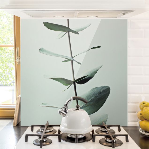 Küche Dekoration Symmetrischer Eukalyptuszweig