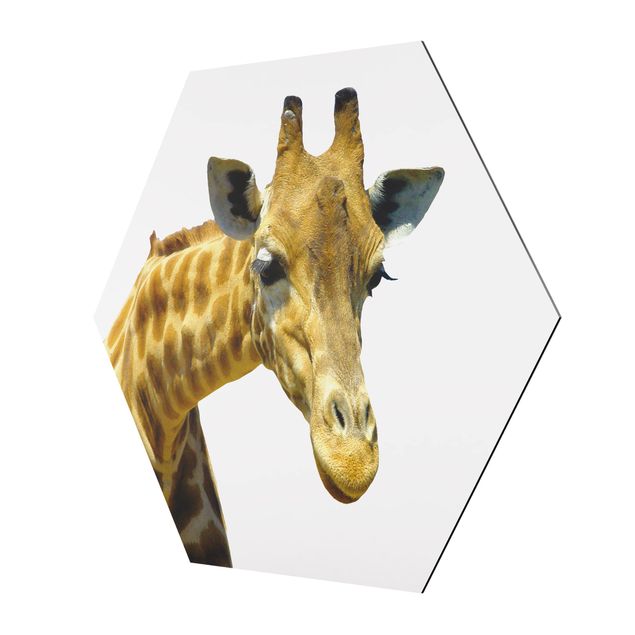 Wanddeko Treppenhaus No.21 Neugierige Giraffe