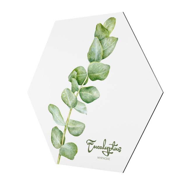 Wanddeko Treppenhaus Aquarell Botanik Eukalyptus
