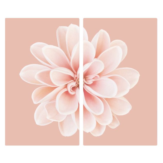 Herdabdeckplatten Blumen Dahlie Rosa Pastell Weiß Zentriert