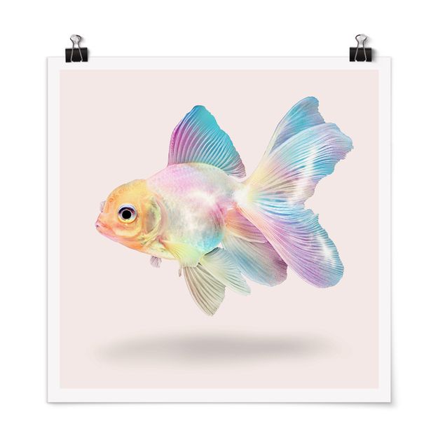 Wanddeko Esszimmer Fisch in Pastell