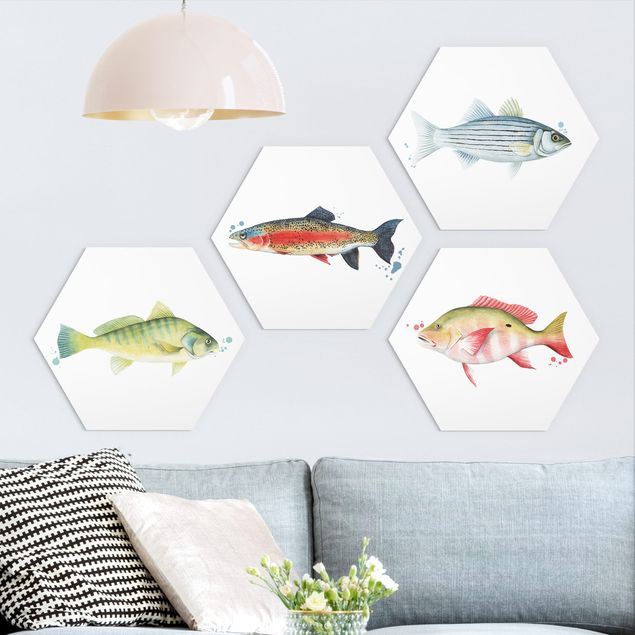 Wanddeko Küche Farbfang - Fische Set I
