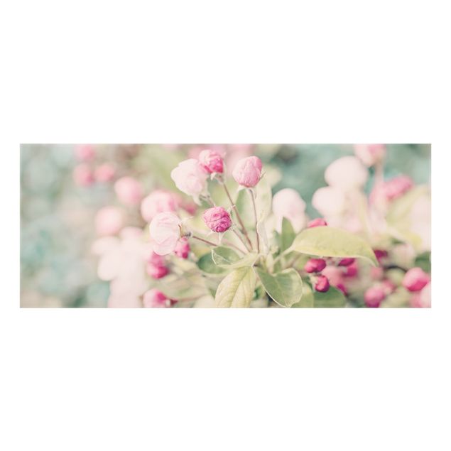 Wanddeko Fotografie Apfelblüte Bokeh rosa