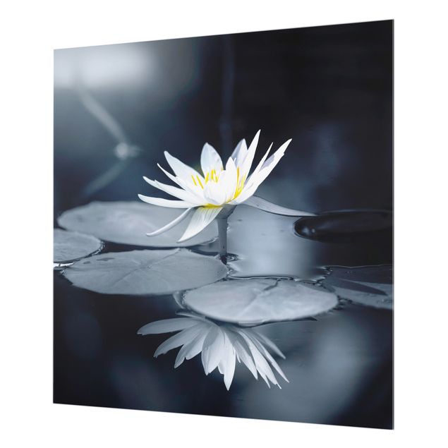 Glasrückwand Küche Blumen Lotus Spiegelung im Wasser