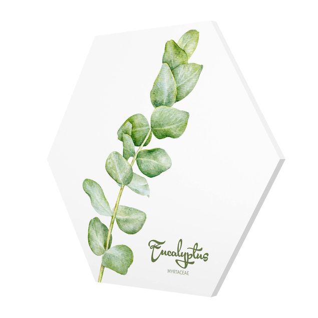Wanddeko Treppenhaus Aquarell Botanik Eukalyptus