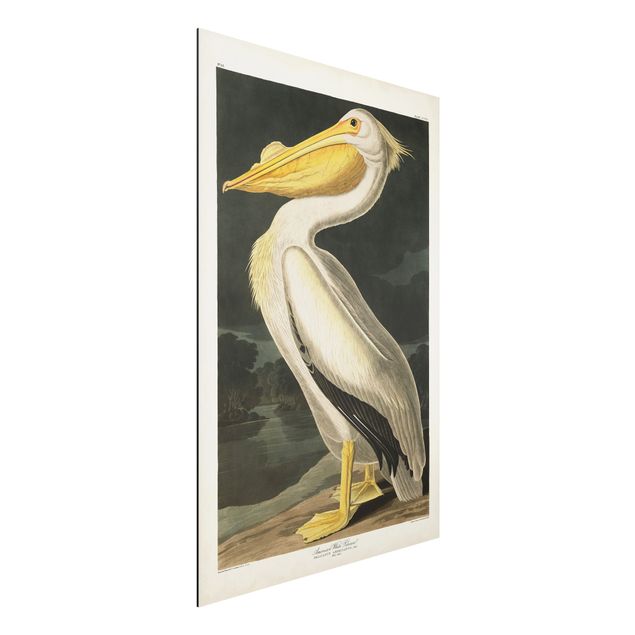 Wanddeko gelb Vintage Lehrtafel Weißer Pelikan