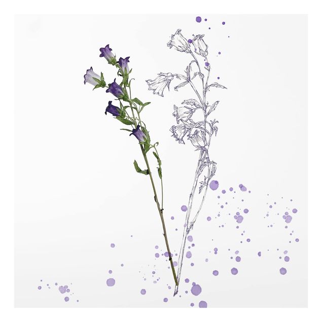 Wanddeko weiß Botanisches Aquarell - Glockenblume