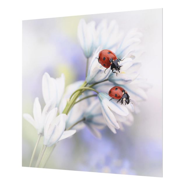 Wanddeko Fotografie Schmetterling und Marienkäfer auf Blüten