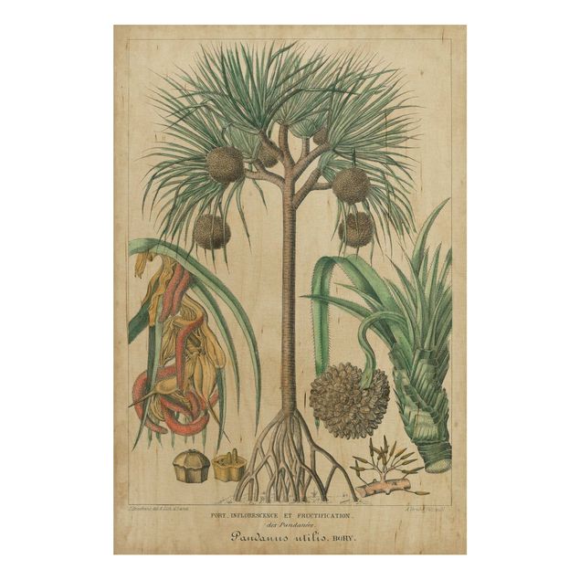 Wanddeko Flur Vintage Lehrtafel Exotische palmen I