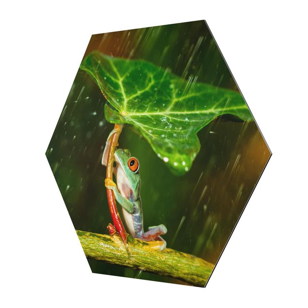 Deko Pflanzen Ein Frosch im Regen