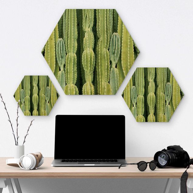 Wanddeko draußen Kaktus Wand