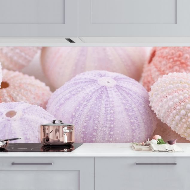 Küche Dekoration Seeigel in Pastell