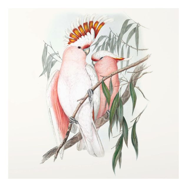 Wohndeko Illustration Pastell Papageien I