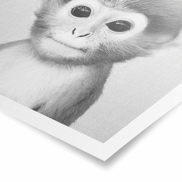 Wanddeko über Sofa Baby Affe Anton Schwarz Weiß