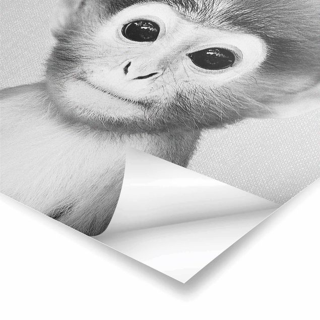 Wanddeko schwarz-weiß Baby Affe Anton Schwarz Weiß