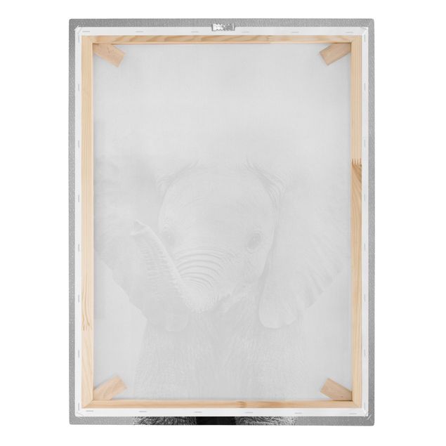 Wanddeko über Sofa Baby Elefant Elsa Schwarz Weiß