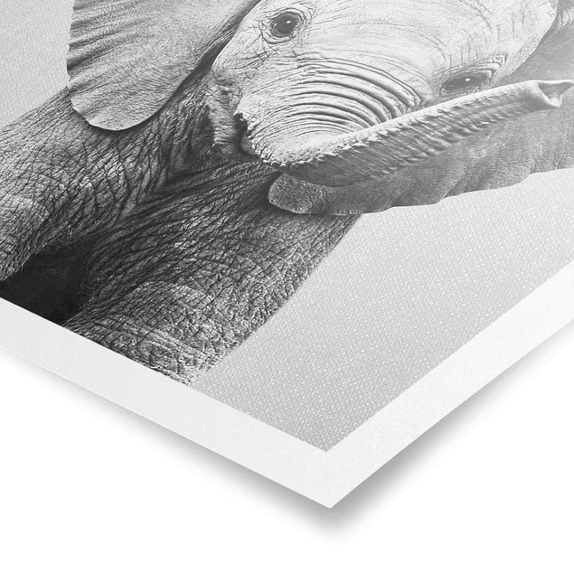 Wanddeko über Sofa Baby Elefant Elsa Schwarz Weiß