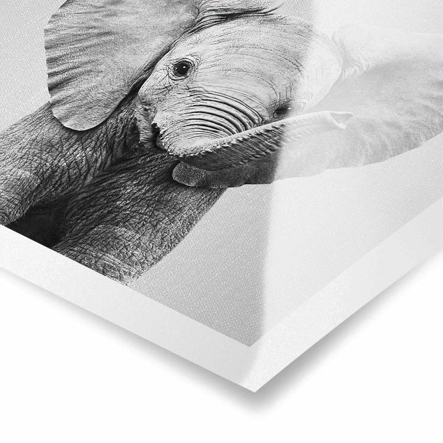 Wanddeko über Bett Baby Elefant Elsa Schwarz Weiß