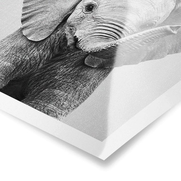 Wanddeko über Bett Baby Elefant Elsa Schwarz Weiß