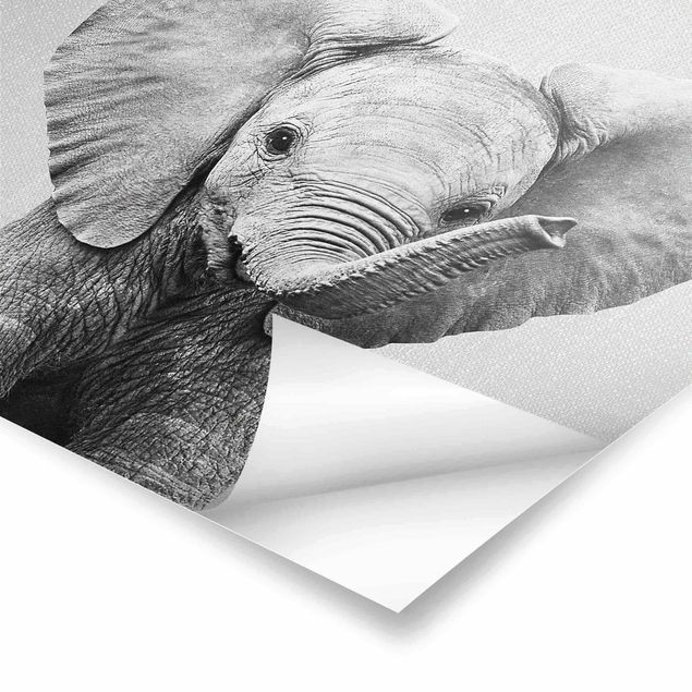 Wanddeko schwarz-weiß Baby Elefant Elsa Schwarz Weiß