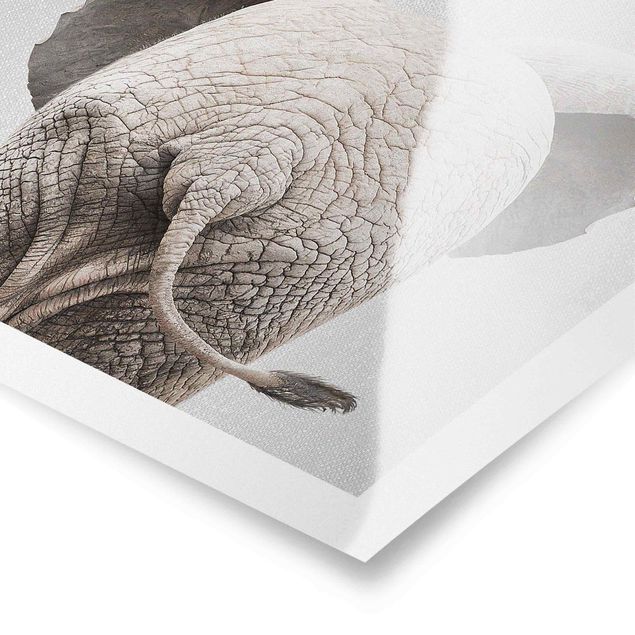 Wanddeko über Bett Baby Elefant von hinten