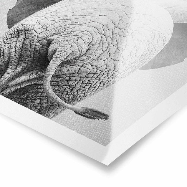 Wanddeko über Bett Baby Elefant von hinten Schwarz Weiß