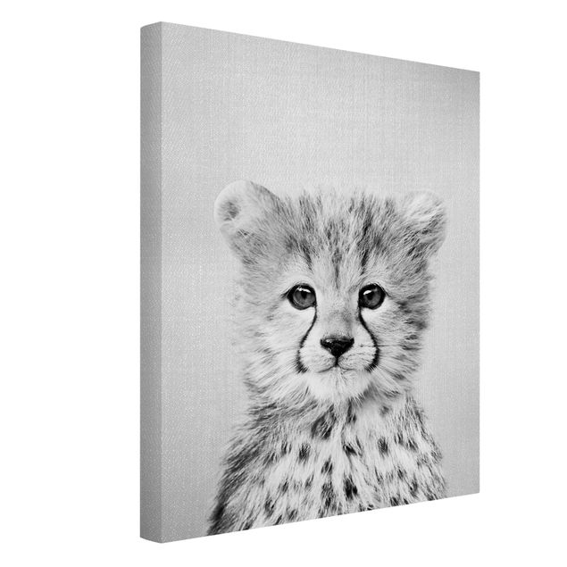 Leiwandbild Katze Baby Gepard Gino Schwarz Weiß
