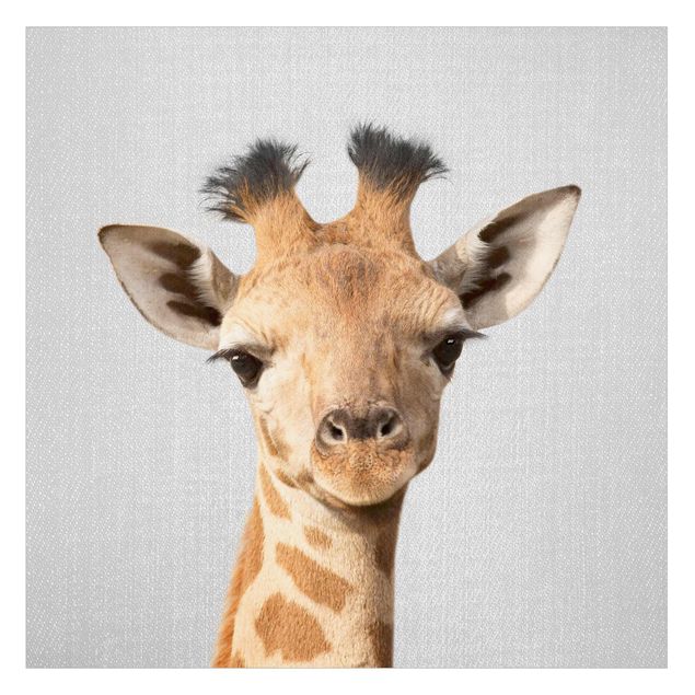 Wanddeko draußen Baby Giraffe Gandalf