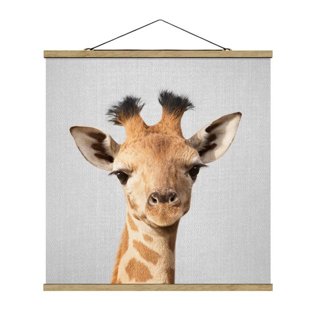 Wandbilder Giraffen Baby Giraffe Gandalf