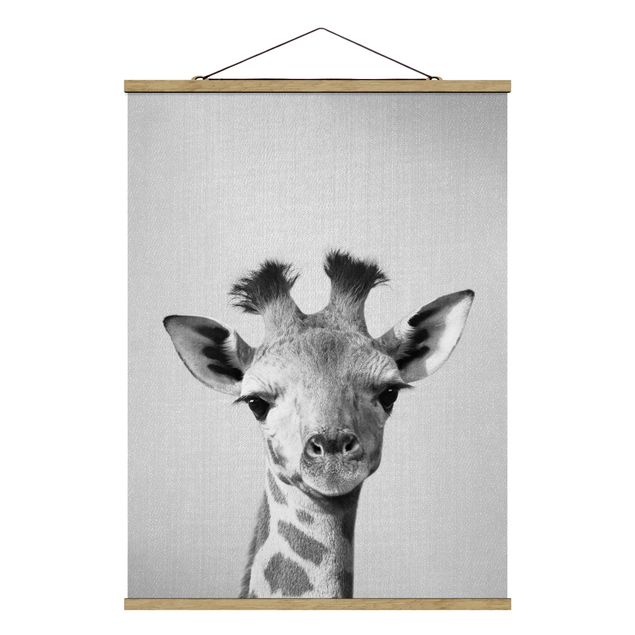Wandbilder Giraffen Baby Giraffe Gandalf Schwarz Weiß