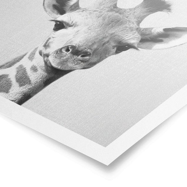 Wanddeko über Sofa Baby Giraffe Gandalf Schwarz Weiß