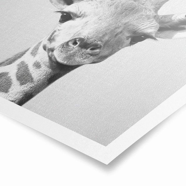 Wanddeko über Sofa Baby Giraffe Gandalf Schwarz Weiß