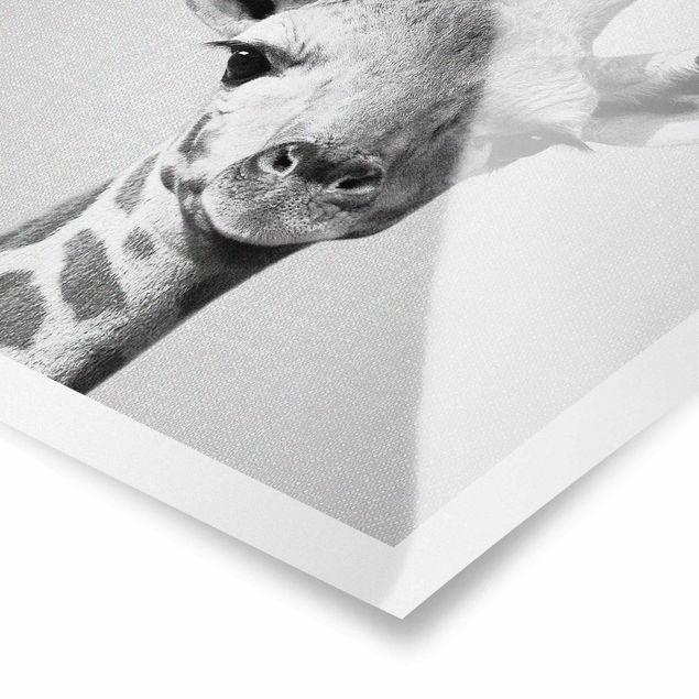 Wanddeko über Bett Baby Giraffe Gandalf Schwarz Weiß