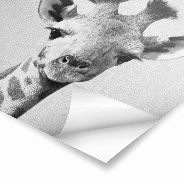 Wanddeko schwarz-weiß Baby Giraffe Gandalf Schwarz Weiß