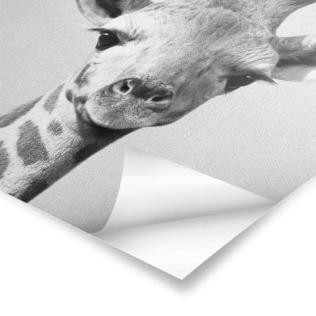 Wanddeko schwarz-weiß Baby Giraffe Gandalf Schwarz Weiß