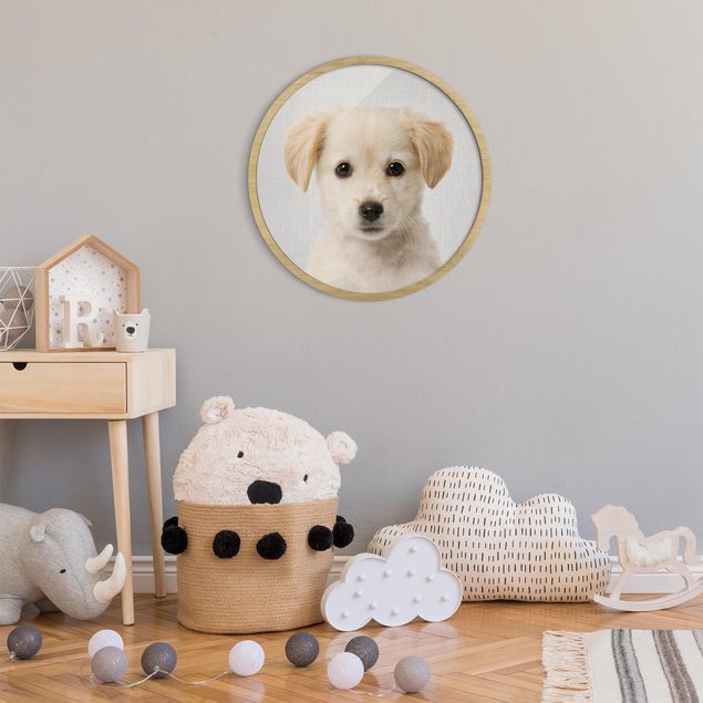 Wandbilder Hunde Baby Golden Retriever Gizmo