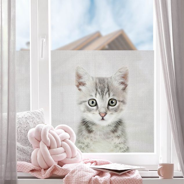 Wanddeko Büro Baby Katze Killi