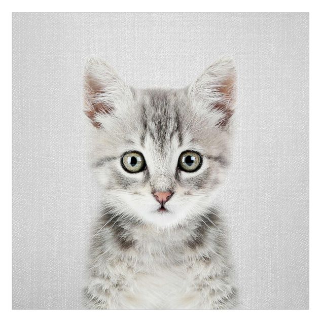 Wanddeko draußen Baby Katze Killi