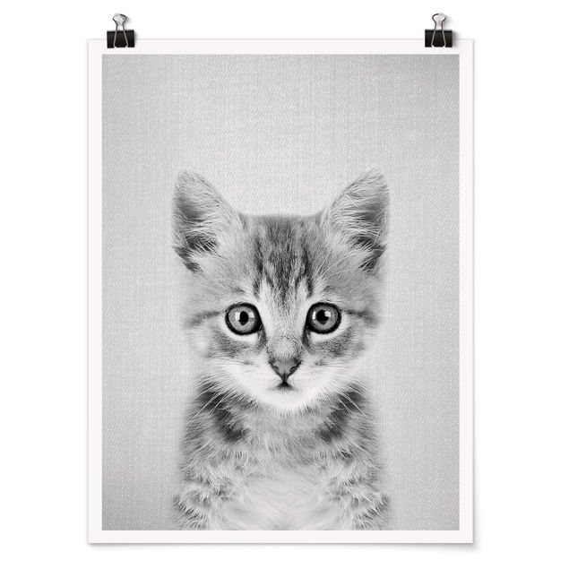 Wandbilder Katzen Baby Katze Killi Schwarz Weiß