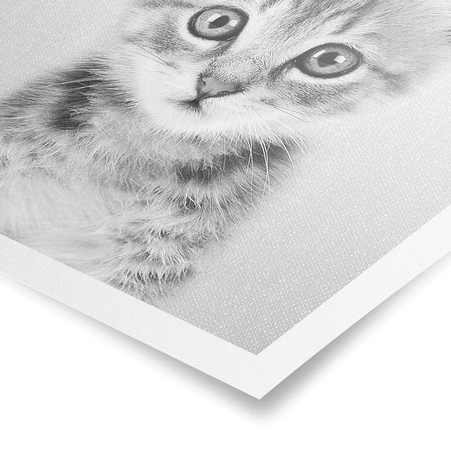 Wanddeko über Sofa Baby Katze Killi Schwarz Weiß