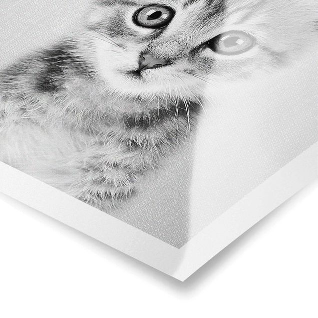 Wanddeko über Bett Baby Katze Killi Schwarz Weiß