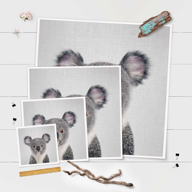 Wanddeko Fotografie Baby Koala Klara