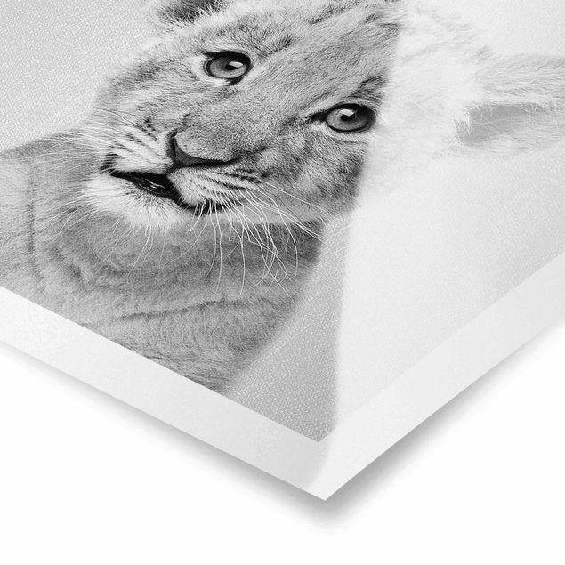 Wanddeko über Bett Baby Löwe Luca Schwarz Weiß