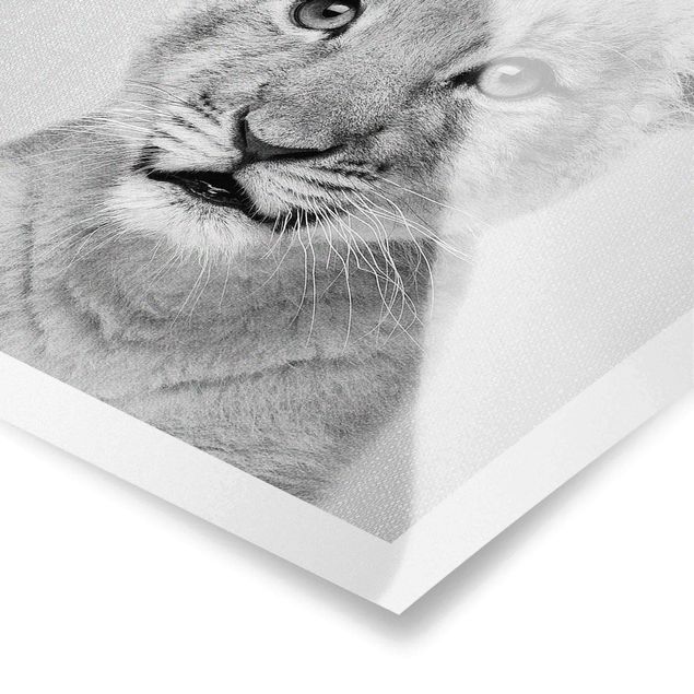 Wanddeko über Bett Baby Löwe Luca Schwarz Weiß