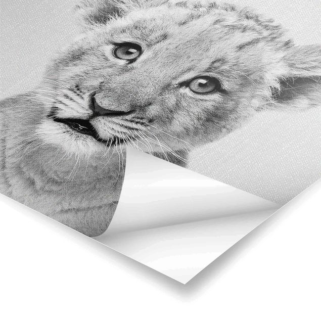 Wanddeko schwarz-weiß Baby Löwe Luca Schwarz Weiß