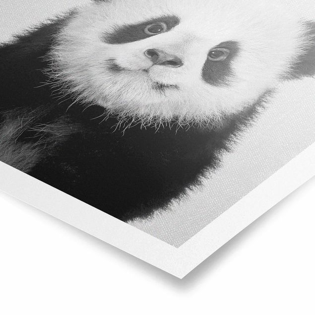 Wanddeko über Sofa Baby Panda Prian Schwarz Weiß