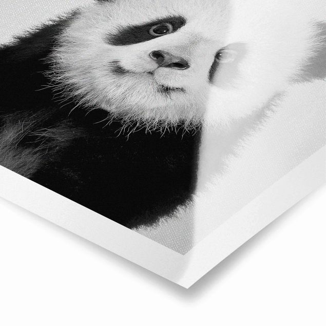 Wanddeko über Bett Baby Panda Prian Schwarz Weiß